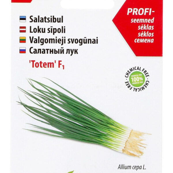 Salatsibul 'Totem', 1 g C