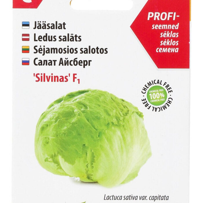 Jääsalat 'Silvinas'