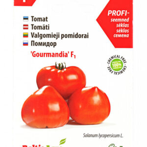 Tomat 'Gourmandia' F1 5s