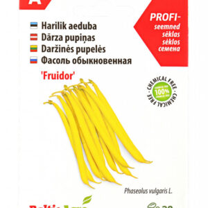 Harilik aeduba (türgi uba) 'Fruidor', kollane 30s