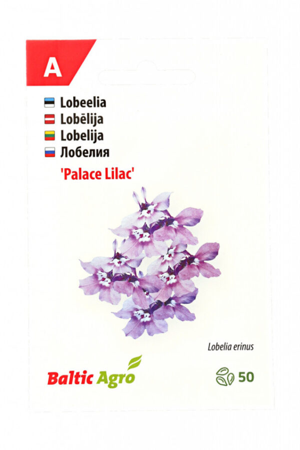 Lobeelia 'Lilac Palace' 50 pilli