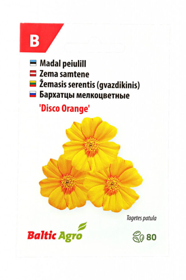 Peiulill 'Disco Orange' 80s