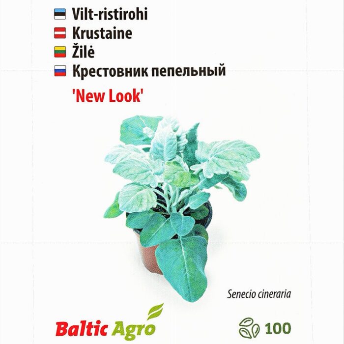 Vilt-ristirohi 'New Look' 100 pilli