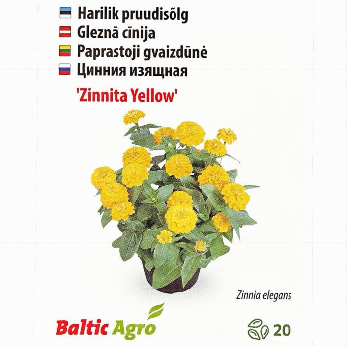 Pruudisõlg 'Zinnita Yellow' 20s