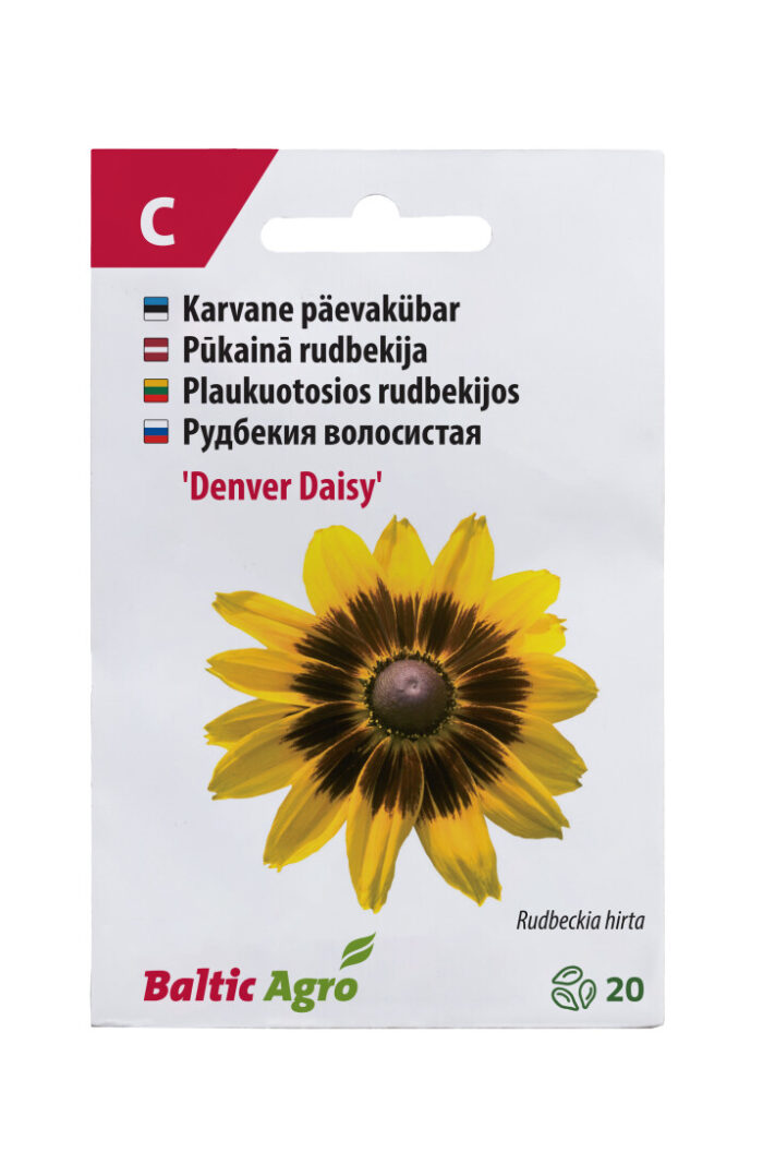 Päevakübar 'Denver Daisy' 20 seemet