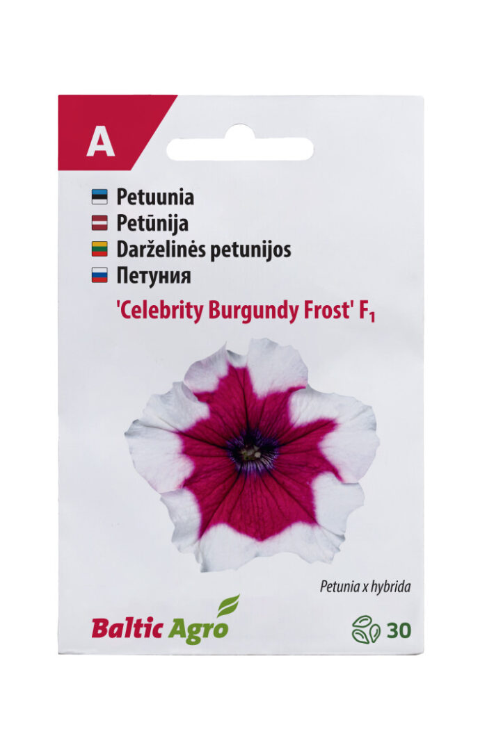 Petuunia 'Celebrity Burgundy Frost' 30 seemet