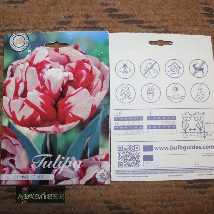 Täidisõieline hiline tulp 'Carnaval de Nice'  (10 tk)