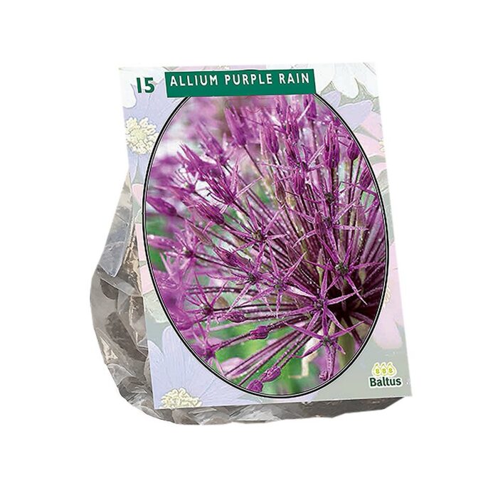Lauk 'Purple Rain' (15 tk)