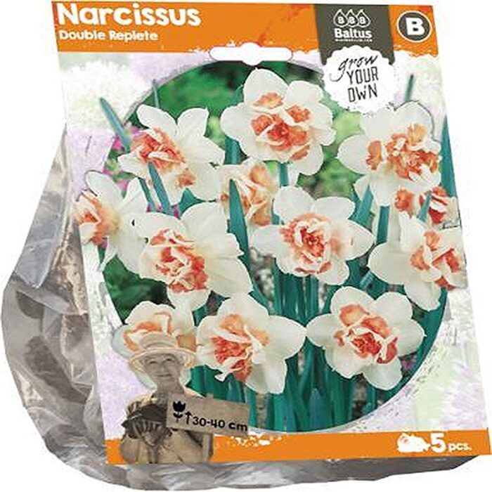 Topeltõieline nartsiss 'Replete' (5 tk)