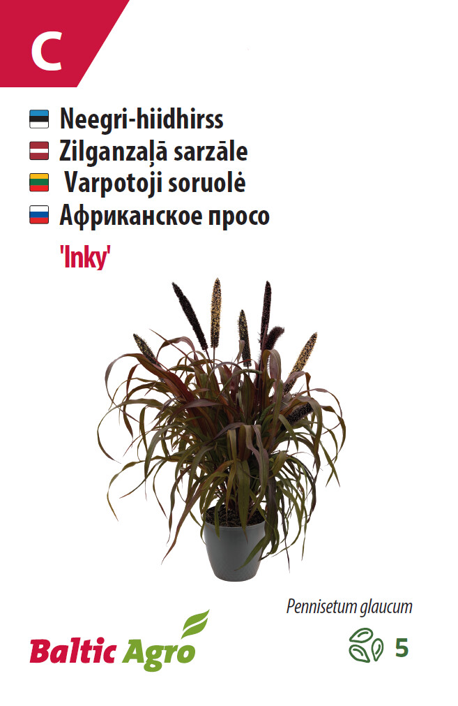 Hiidhirss 'Inky' 5 seemet