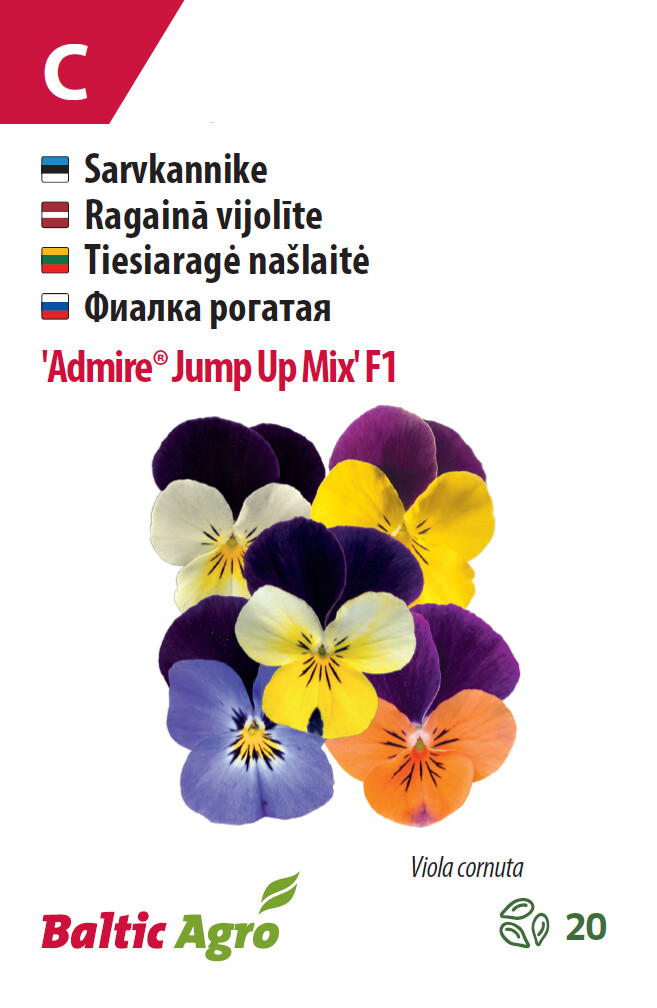 Sarvkannike 'Admire® Jump Up' 20 seemet