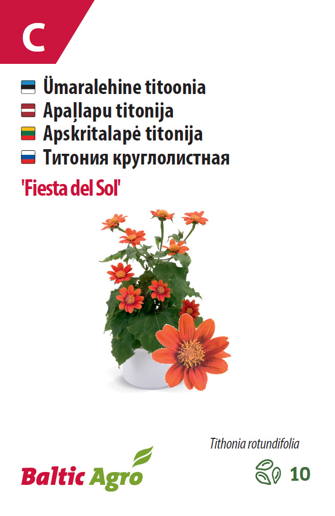 Titoonia 'Fiesta del Sol' 10 seemet