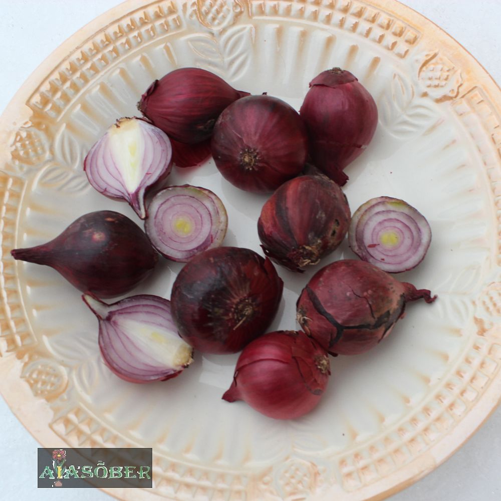 Söögisibul 'Red Baron' 250 gr - Image 4