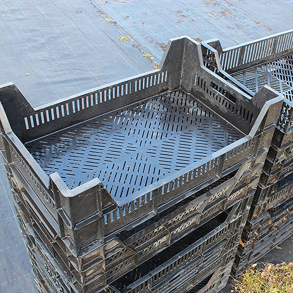 Istikukast, kasutatud (madalam) - Image 3